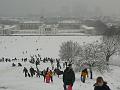 Snow, Greenwich Park P1070226